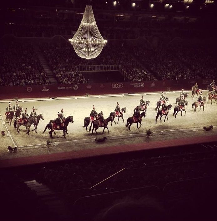 Actuacion de decoración por caballos lipizzaner.